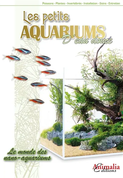 Les petits aquariums d'eau douce : le monde des nano-aquariums