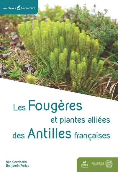 Les fougères et plantes alliées des Antilles françaises