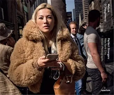 Melissa O´ Shaughnessy Perfect Strangers : New York City Street Photographs