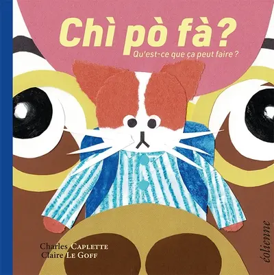 Chi po fà ?. Qu'est-ce que ça peut faire ?