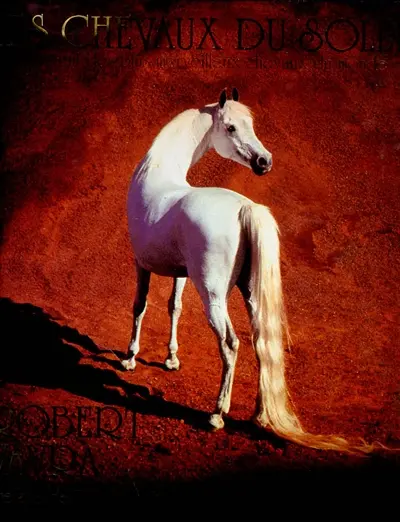 Les chevaux du soleil