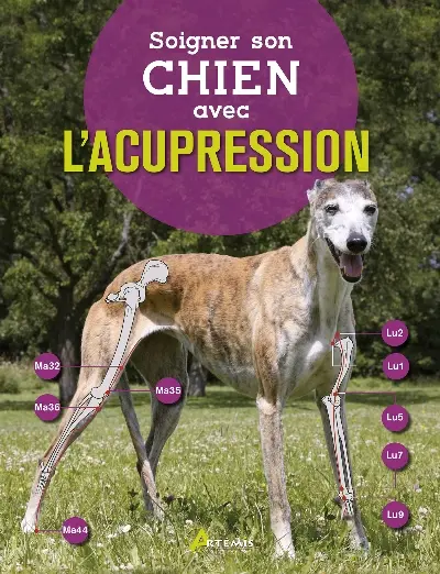 Soigner son chien avec l'acupression
