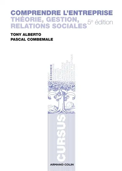 Comprendre l'entreprise : théorie, gestion, relations sociales