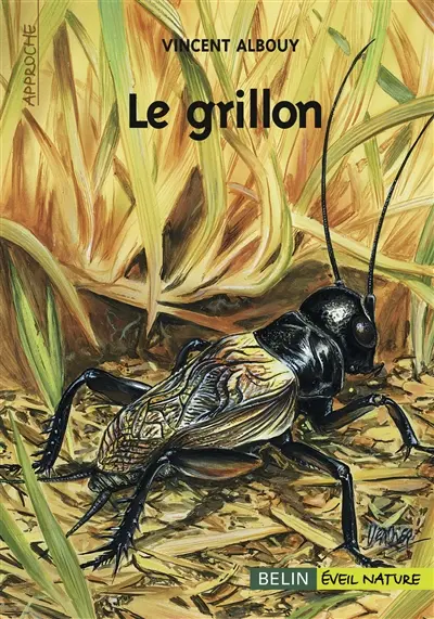 Le grillon