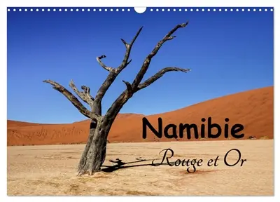 Namibie Rouge et Or (Calendrier mural 2026 DIN A3 vertical), CALVENDO calendrier mensuel : Michel DENIS, photographe et cueilleur d'images, vous fait partager un de ses voyages. Un calendrier pour vous faire rêver sur un pays magnifique : la Namibie