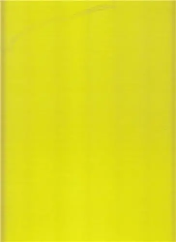 Richard Avedon Women