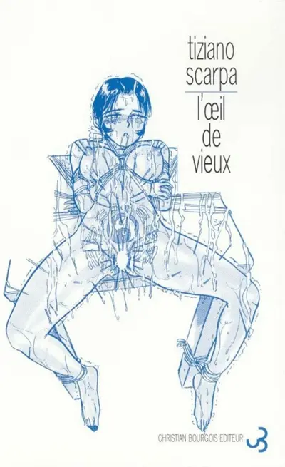 L'oeil de vieux : bref essai sur l'avant-dernière histoire d'amour vécue par la femme à laquelle je désirerais m'unir par un lien affectif durable