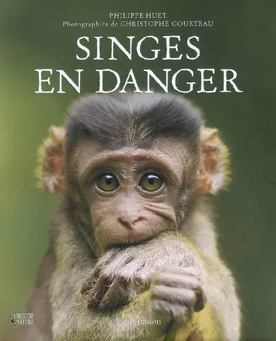 Singes en danger