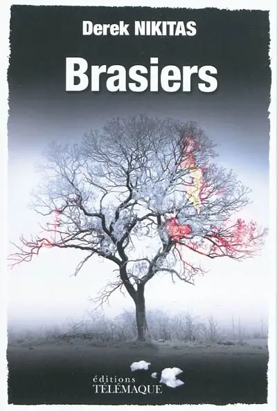 Brasiers