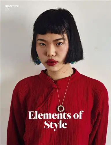 Magazine Aperture 228 : The Elements of Style