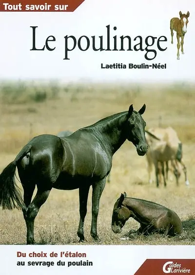 Le poulinage : du choix de l'étalon au sevrage du poulain