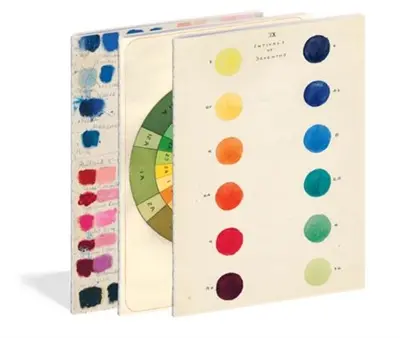 John Derian Paper Goods : 3 Color Studies Notebooks