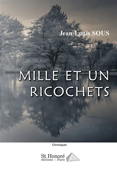 Mille et un ricochets : chroniques
