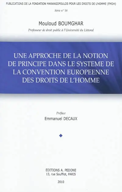 Une approche de la notion de principe dans le système de la Convention européenne des droits de l'homme