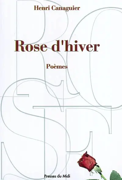 Rose d'hiver