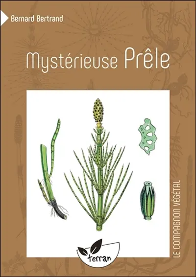Mystérieuse prêle
