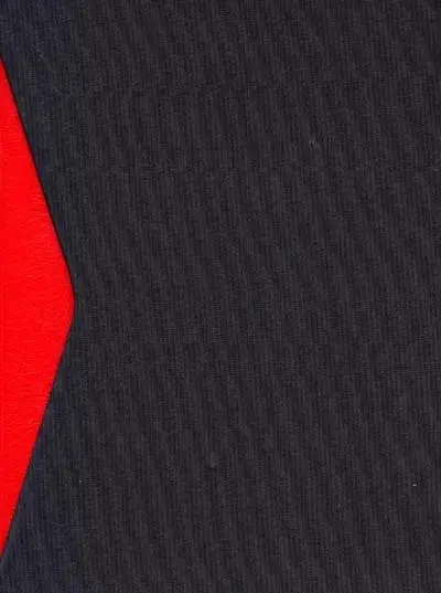 Dictionnaire Ricci des caractères chinois