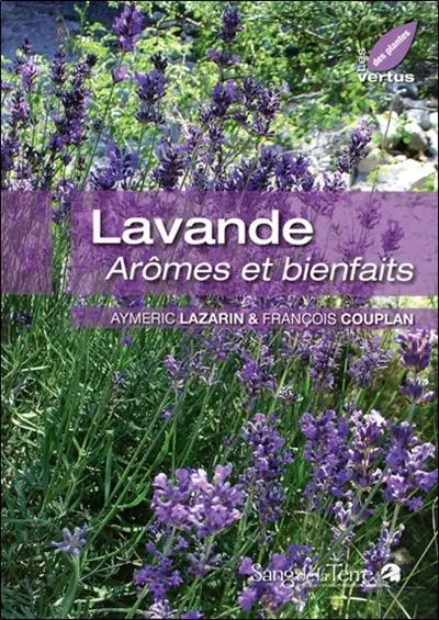 Lavande : arômes et bienfaits