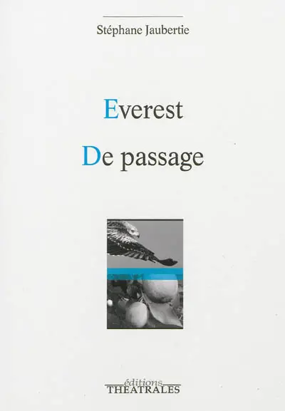 Everest. De passage