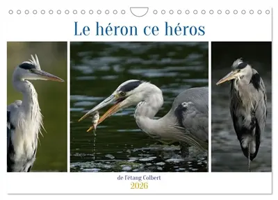 Le héron ce héros de l'étang Colbert (Calendrier mural 2026 DIN A4 vertical), CALVENDO calendrier mensuel : L'activité du héron cendré au bord d'un étang.