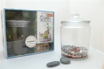 Coffret green terrarium