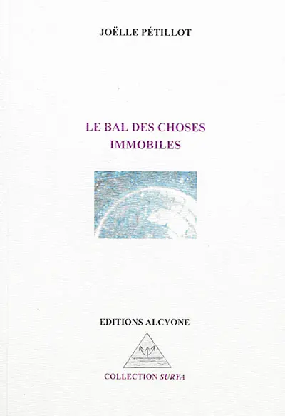 Le bal des choses immobiles