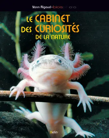 Le cabinet des curiosités de la nature