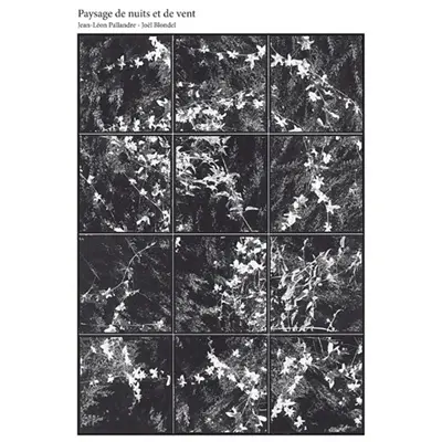 Paysage de nuits et de vent