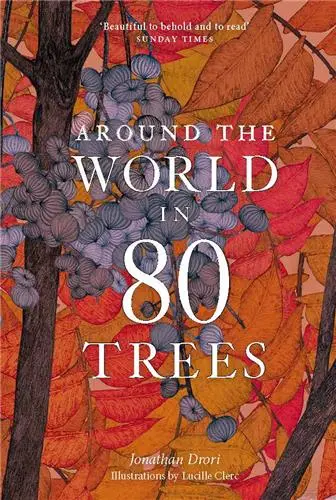 Around the World in 80 Trees (Paperback)
