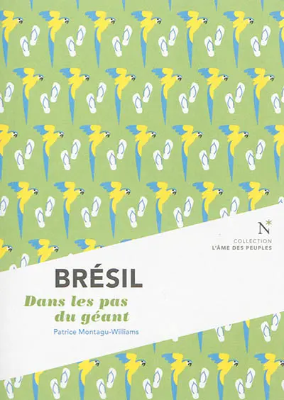 Brésil : dans les pas du géant