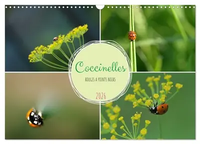 Coccinelles rouges à points noirs (Calendrier mural 2026 DIN A3 vertical), CALVENDO calendrier mensuel : Coccinelle appelée aussi bête à Bon Dieu