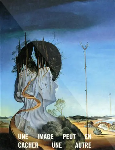 Une image peut en cacher une autre : Arcimboldo, Dali, Raetz : exposition, Paris, Galerie nationale du Grand Palais, 8 avril-6 juillet 2009