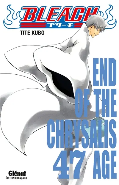 Bleach. Vol. 47. End of the chrysalis age