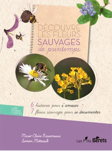 Découvre les fleurs sauvages de printemps