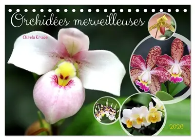 Orchidées merveilleuses (Calendrier de bureau 2026 DIN A5 vertical), CALVENDO calendrier mensuel : Des fleurs fascinantes d'une grande diversité