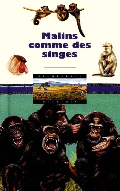 Malins comme les singes