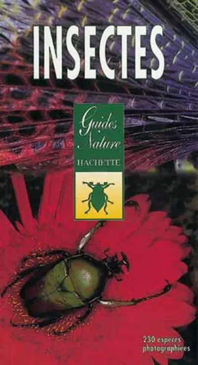 Insectes : identification et observation