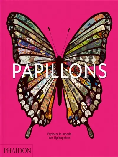Papillons : explorer le monde des lépidoptères