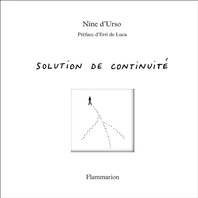 Solution de continuité