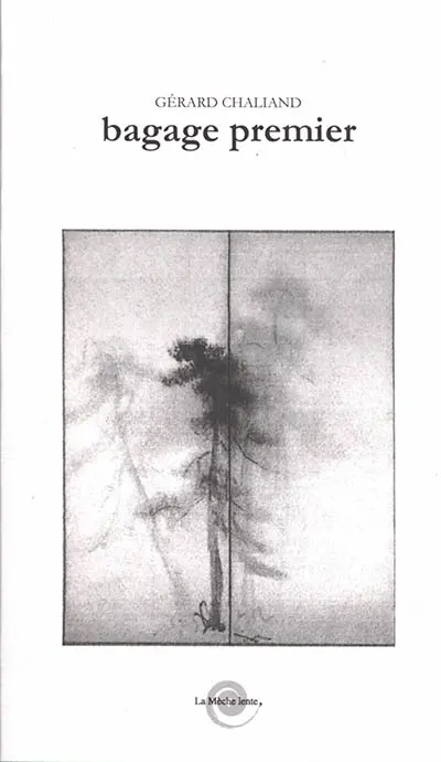 Bagage premier : une anthologie de hasards