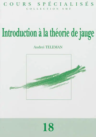 Introduction à la théorie de jauge