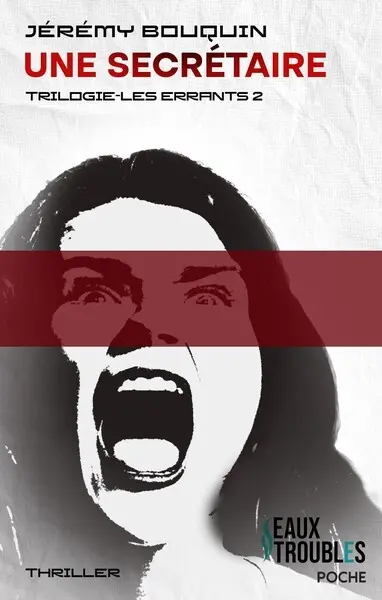 Les errants. Vol. 2. Une secrétaire : thriller
