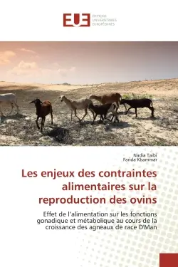 Les enjeux des contraintes alimentaires sur la reproduction des ovins : Effet de l'alimentation sur les fonctions gonadique et métabolique au cours de la croissance des agn