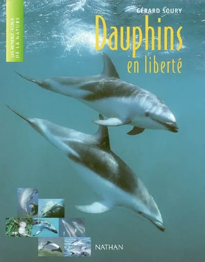 Dauphins en liberté
