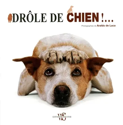 Drôle de chien !...