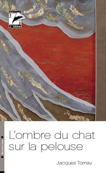 L'ombre du chat sur la pelouse