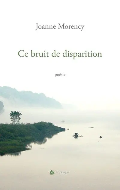 Ce bruit de disparition