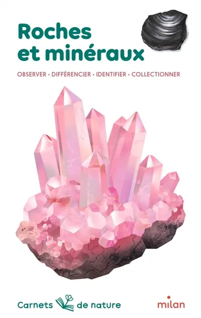 Roches et minéraux : observer, différencier, identifier, collectionner