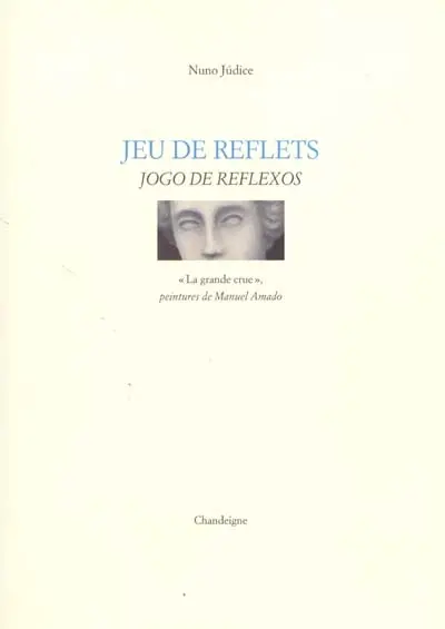 Jeu de reflets : La grande crue : peintures de Manuel Amado. Jogo de reflexos