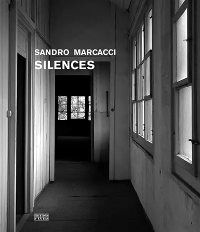 Silences : théâtre d'une voix